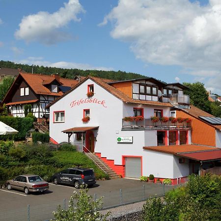 Trifelsblick Hotel Wernersberg Kültér fotó